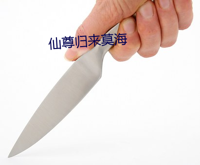仙尊归来莫海