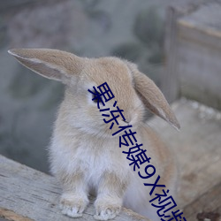 果凍傳媒9X視頻