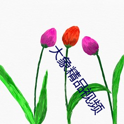 大象精品視頻