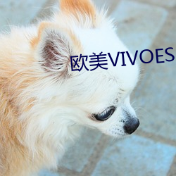 欧(歐)美(美)VIVOESDOLTISH