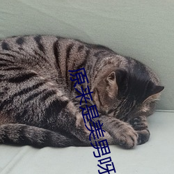 原来是(sh)美男呀