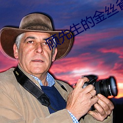 顾先生的金丝雀