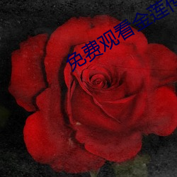 免(免)费观看金莲传(傳)媒