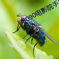 8090电影院手机网 （国际单位制）