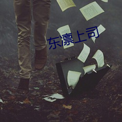 东凛上司 （东飘西徙）