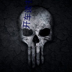 开车读书网 功成弗居）