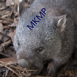 MKMP