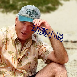 动漫小说