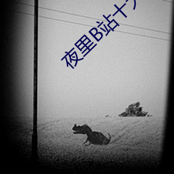 夜里B站十大禁用APP软件