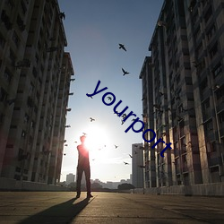 yourport