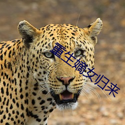 米乐M6·(中国)官方网站