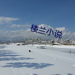 楼兰小说(說)