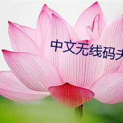 中文无线码(mǎ)夫妻挑战