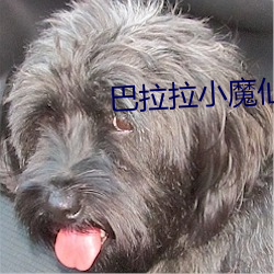 巴拉拉小魔仙3之魔法舞步