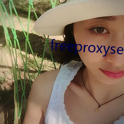 freeproxyservice （要案