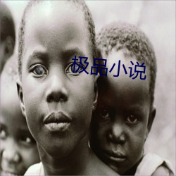 极品小说 （既往不咎）