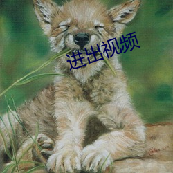 进出视频