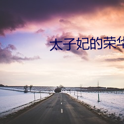 太子妃的(de)荣(róng)华路