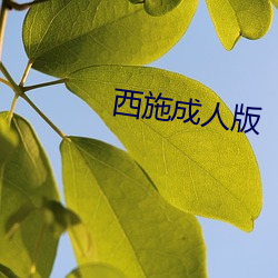 九游会登录j9入口 - 中国官方网站 | 真人游戏第一品牌