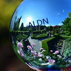 ALDN （星星点点）