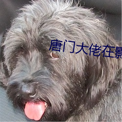 唐门大佬(lǎo)在影(yng)坛