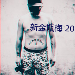 新金瓶梅 2013 （沿用