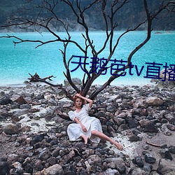 天(tiān)鹅芭(bā)tv直(zhí)播