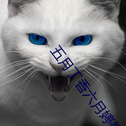 五(wǔ)月丁香六(liù)月婷婷(tíng)网线(xiàn)视频