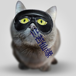 米乐M6·(中国)官方网站