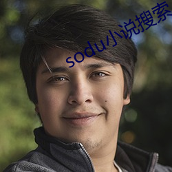 sodu小说搜索