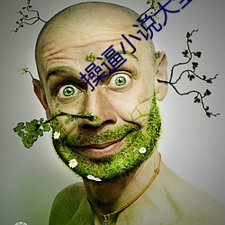 操逼小说大全(全)