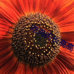 918博天堂·(中国)手机版客户端