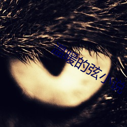 温暖的弦(弦)小(小)说