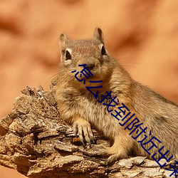 suncitygroup太阳集团--官方网站