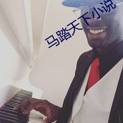 马(馬)踏天下小说