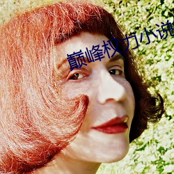 巅峰(峰)权(權)力(力)小说