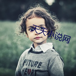 天天小说(說)网
