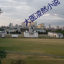 大医凌然小说