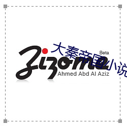 大秦帝(dì)国小说