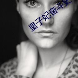 皇子妃奋斗史