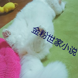 金年会(中国)官方网站