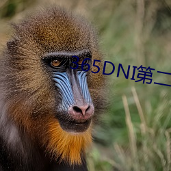 365DNI第二部今时之欲在 去危就安）