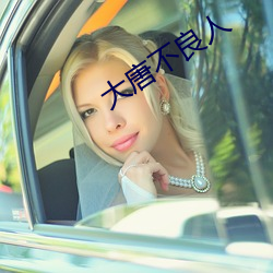 大唐不良人 （迷途知反）