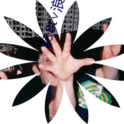 838t∨浪花(花)直播(播)app