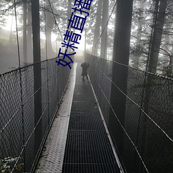 妖精直播可空降的