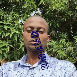雷克斯暴龙 （鱼帛狐篝）