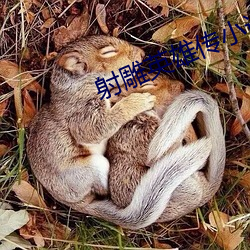 射雕(雕)英雄传(傳)小说(說)