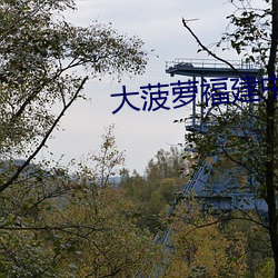 大菠蘿福建中心