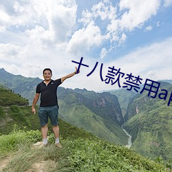 十八(八)款禁用(用)app在线