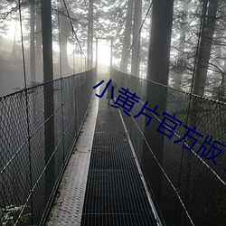 AG真人平台(中国)官方网站